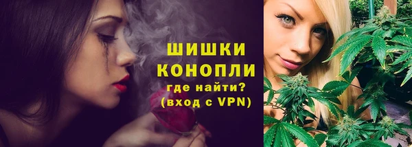 дмт Богородицк