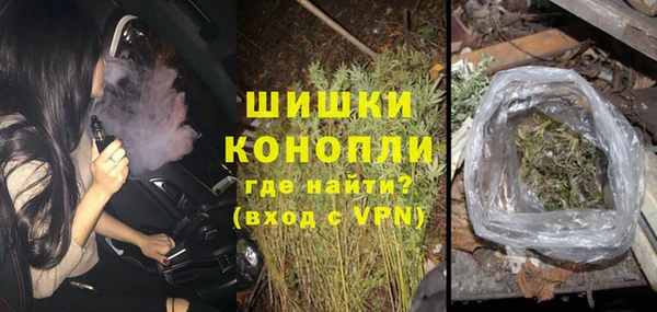 дмт Богородицк