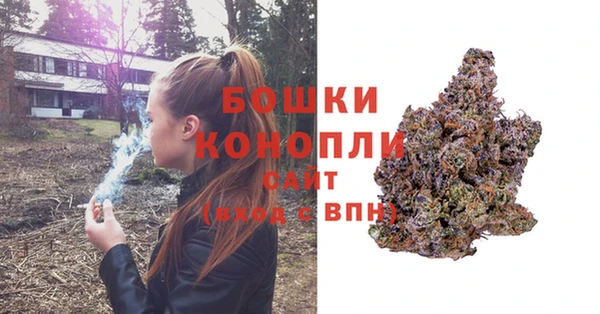 экстази Богданович
