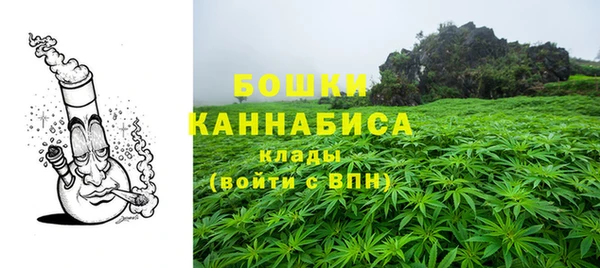 дмт Богородицк