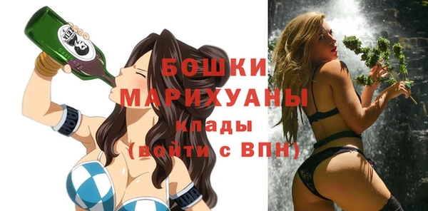 дмт Богородицк