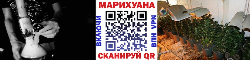 МАРИХУАНА гибрид  Полтавская 